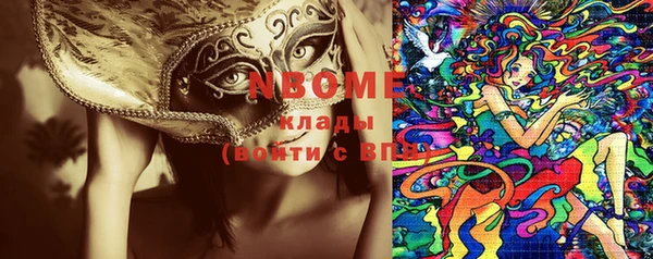 индика Семёнов