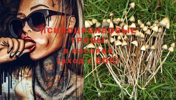 марки nbome Сатка